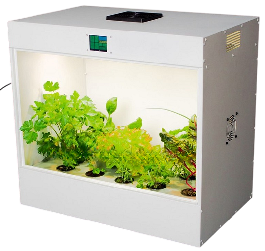 Иммерсивные технологии