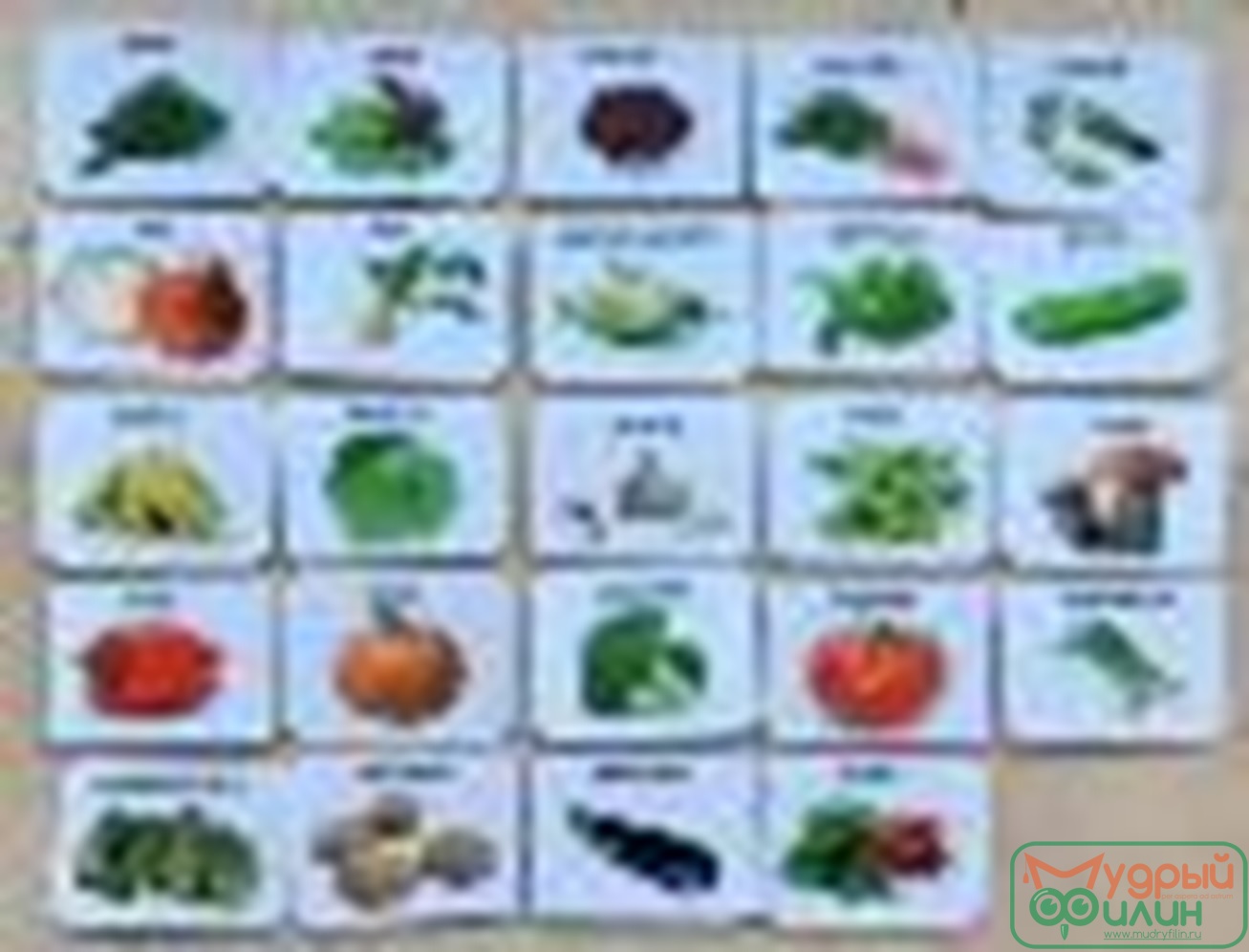 Набор карточек "Овощи 24"   на липучках для альбома PECS - 1