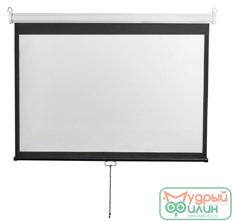 Экран настенный Digis DSOD-16903 - 1