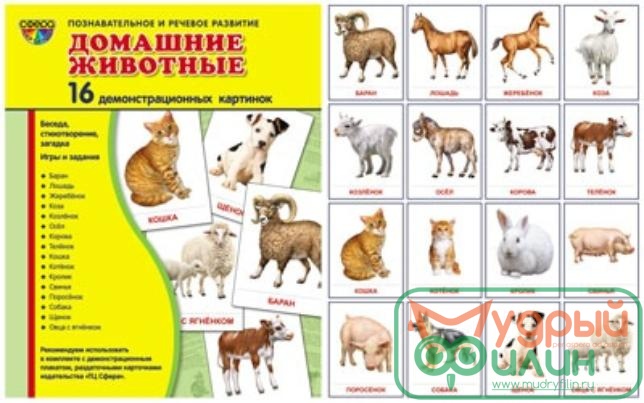 Демонстрационные карточки "Домашние животные" (63х87 мм) - 1