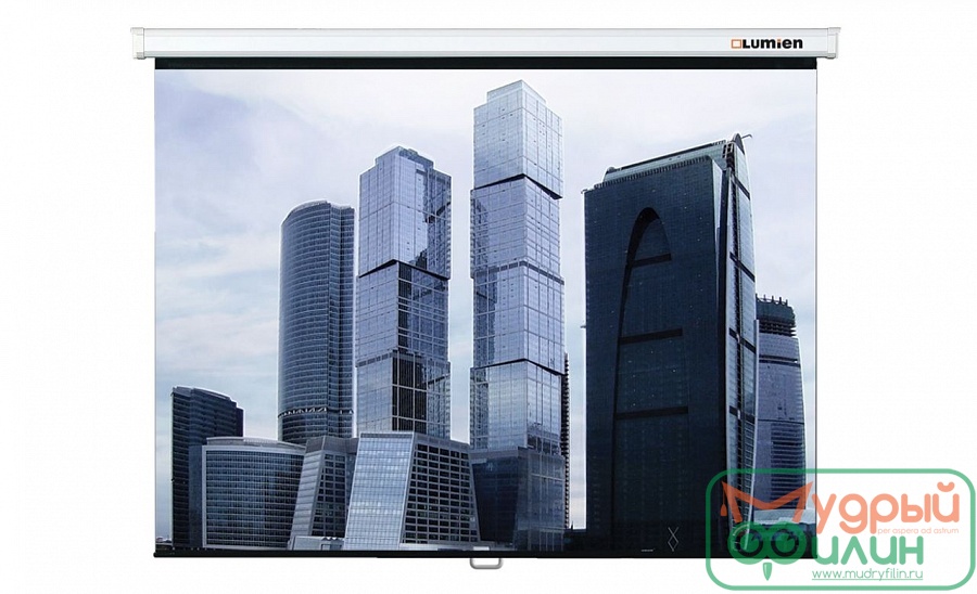 Настенный экран Lumien Eco Picture 180х180 см 49119 - 1