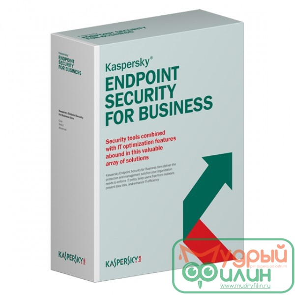 Kaspersky Endpoint Security для бизнеса – Стандартный Russian Edition. 10-14 Node 1 year Educational Renewal License - 1