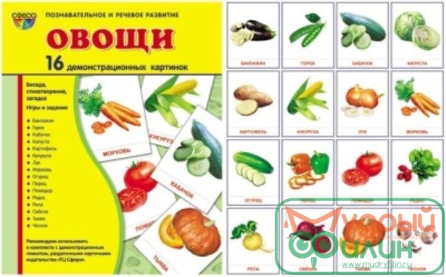 Демонстрационные карточки "Овощи" (63х87 мм) - 1