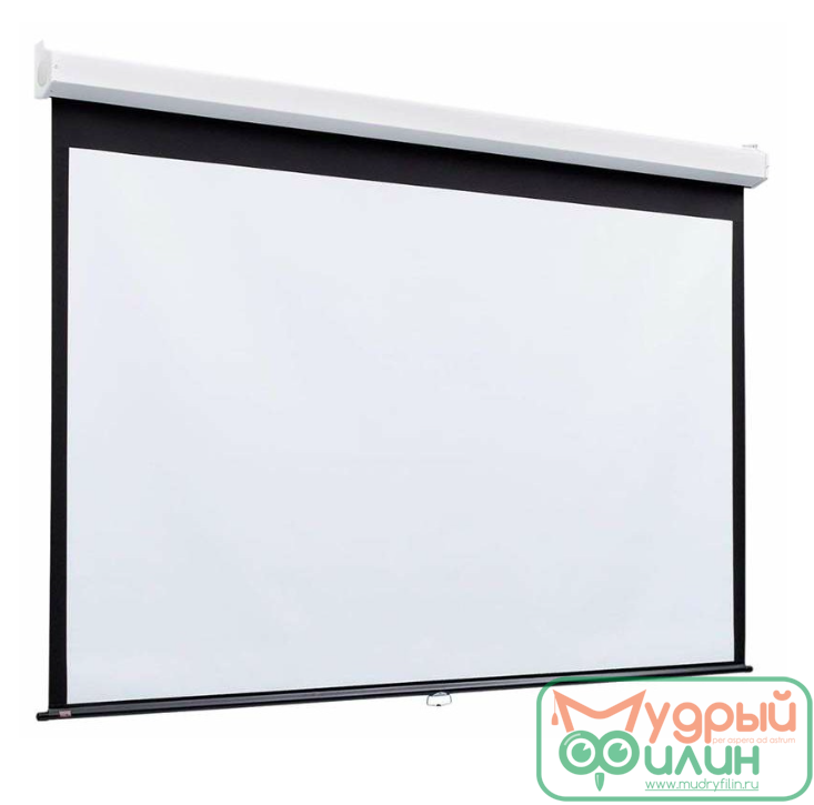 Экран настенный Digis DSOD-4304 - 1