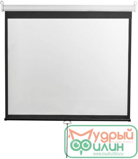 Экран настенный Digis DSOB-1103 - 1